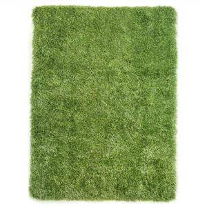 Celeste Plus Green Rug