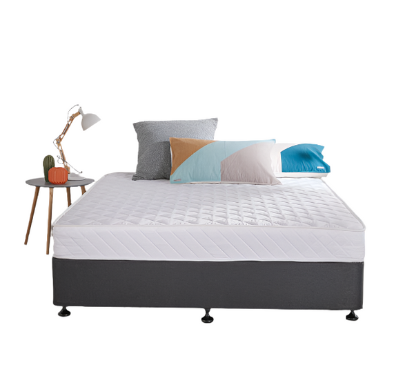 Queen Bed Base W/ Mattress