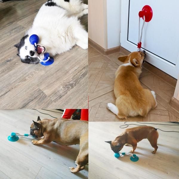 Pet suction rope tug ball toy